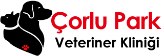 bivet
